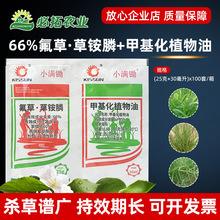 小满锄66%氟草草铵磷膦除草剂丙炔氟草铵胺甲基化植物油农药助剂