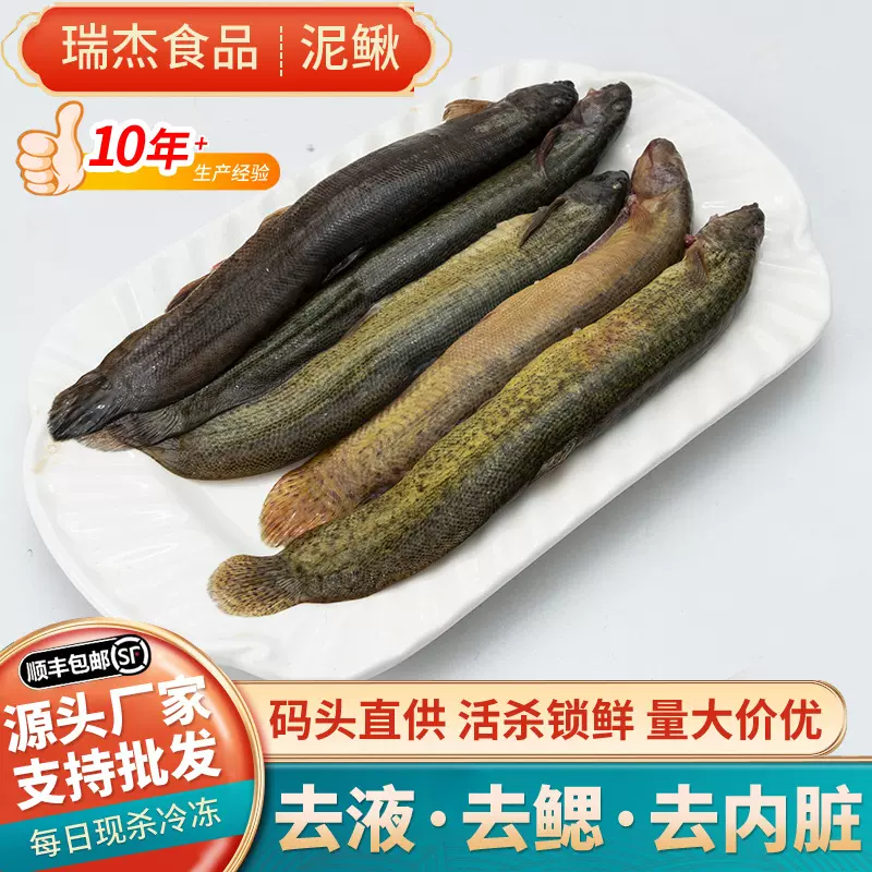 新鲜活杀泥鳅去鳃去内脏现杀青鳅黄鳅大板鳅源头水产厂家量大价优