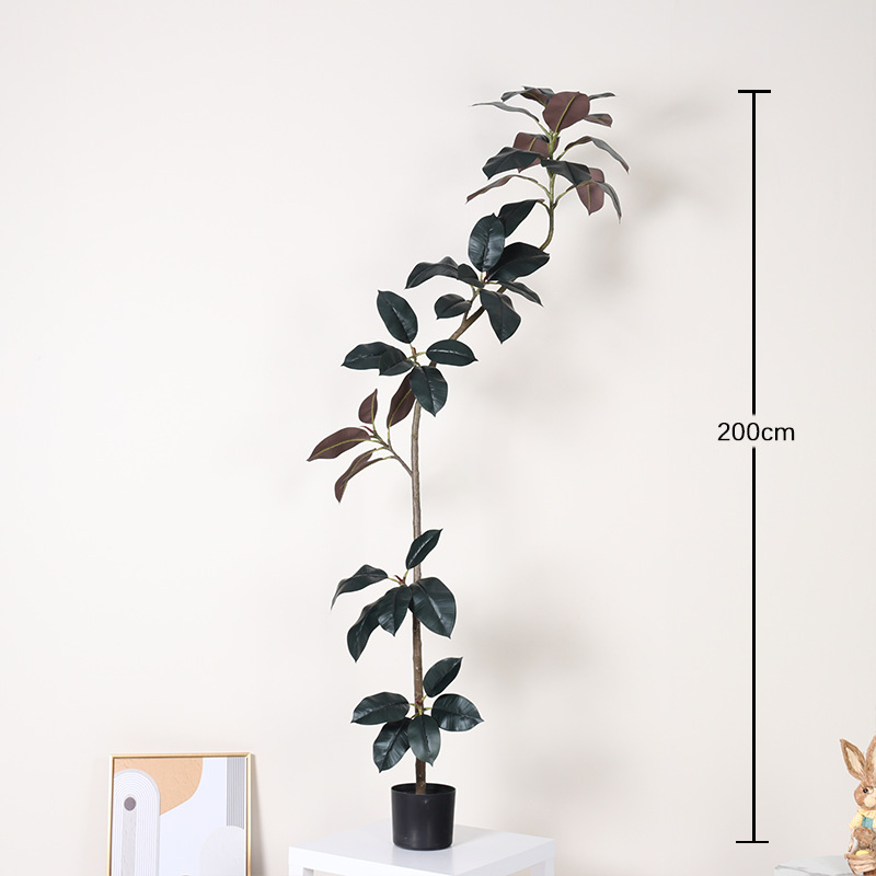 Elegante diamante negro-200cm