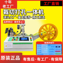 ȫԄӴиCȫЙCXЎCħgN_יC