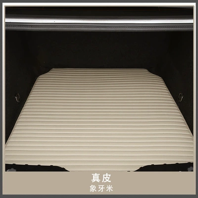 Trunk Mat Leather Trunk Mat, Special - beige-leather-default-item