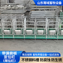 出口定制带漏粪板定位栏设备养殖场母猪饲养栏猪牛羊用限位栏