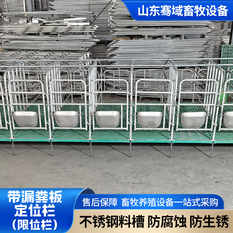 出口定制带漏粪板定位栏设备养殖场母猪饲养栏猪牛羊用限位栏