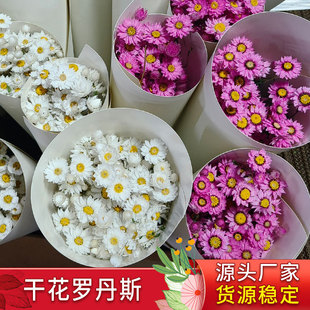 �羳���l�����Bins�L�Ҿ�ܛ�b��Y�������� �_��˹�b�����������