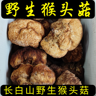 �L��ɽҰ�����^����؛�Bθ500g�����M����r���Ҝ�Ģ�����|���خa