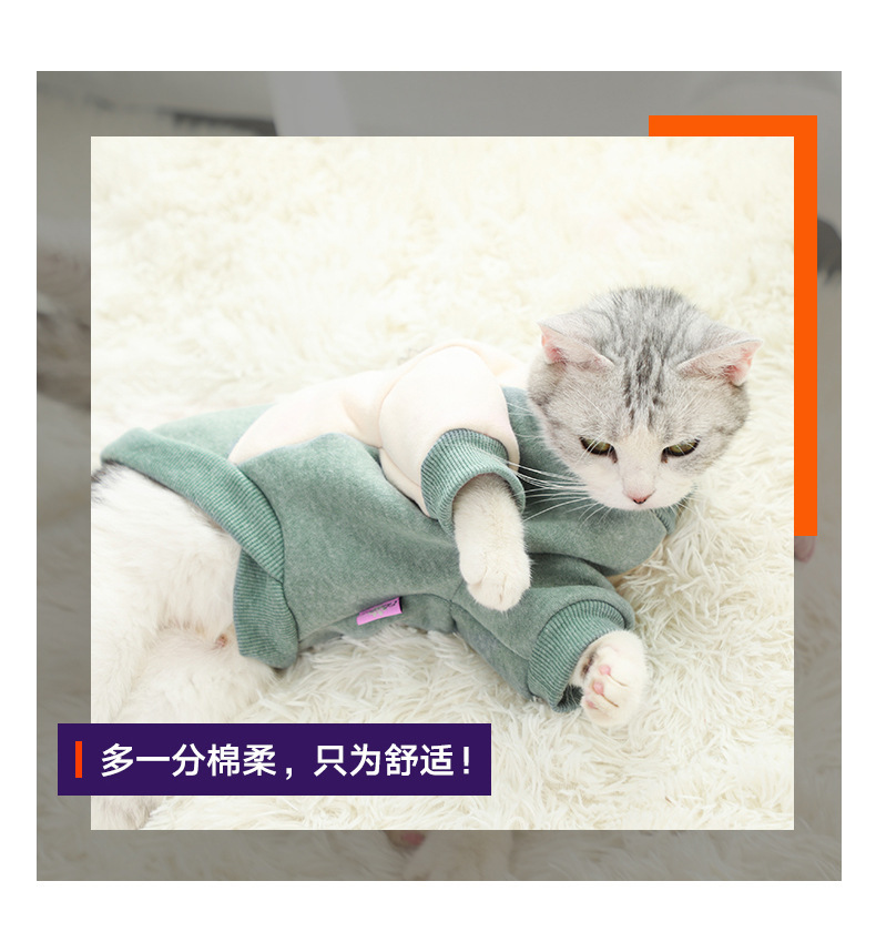 宠物服装新款可爱拼色居家猫咪服饰时尚保暖狗狗卫衣宠物衣服外套详情4