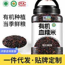 2025���ЙCѪŴ�����ږ|���r�����r�峣�����s�Z��ͥ����ЙCŴ��