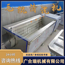 毛辊去皮清洗机 多功能黄精葛根茯苓中药材清洗设备 土豆去皮机