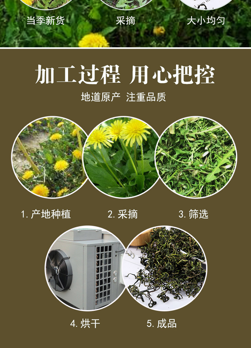 Dandelion Root & Flower Tea (Taraxacum officinale) — Dried Pú Gōng Yīng Herbal Tea, Loose Bulk preparation