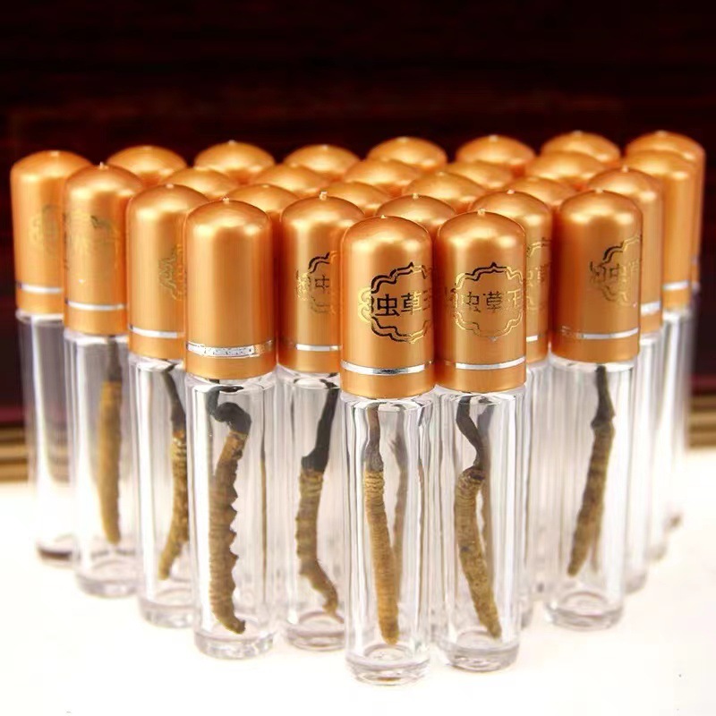 大量批发 野生虫草 亚香棒虫草非西藏那曲冬虫夏草云南虫草小瓶装