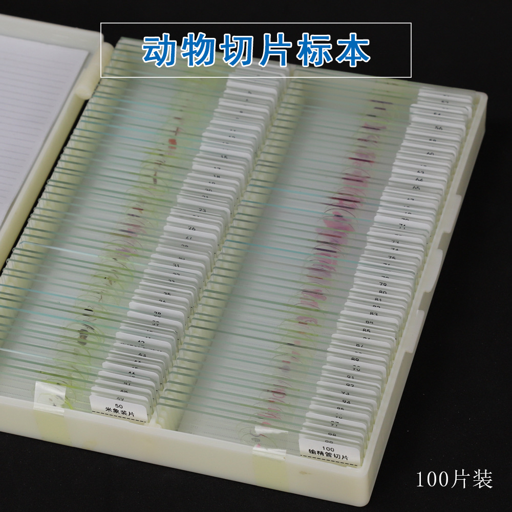 Datyson生物显微镜100片动物标本切片2X0025C