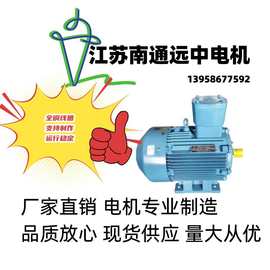 江苏南通 YB3、YBX3 隔爆型三相异步电动机防爆电机2468 三级能效