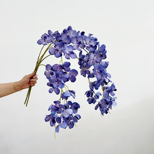 ��Y���滨�����f���m2���f���m��Ȼ�L���Ļ�Y��ˇ������c����