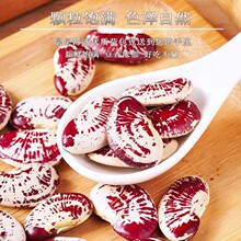 云南农家荷包豆状元豆大肾豆500g豆类五谷杂粮花芸豆花豆非斑马豆