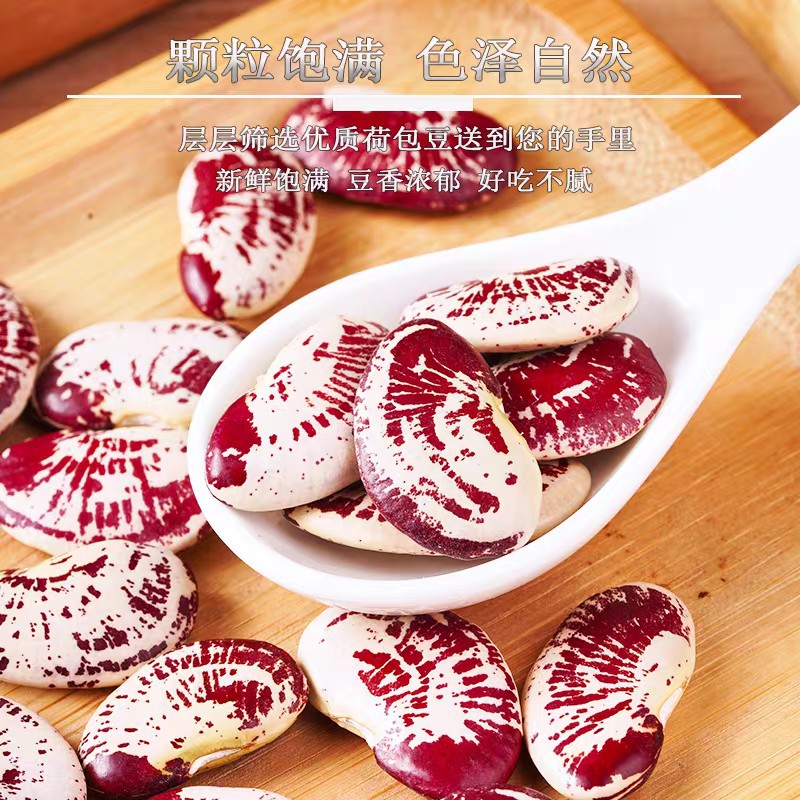 云南农家荷包豆状元豆大肾豆500g豆类五谷杂粮花芸豆花豆非斑马豆