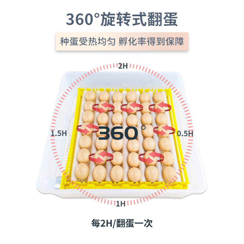 42 Unidades de doble potencia rodillo inteligente incubadora automática pequeño hogar pollo pato codorniz paloma incubadora