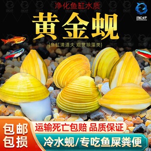 �S��͘�����~ʺ�S���ˮ�Ӱ���ˮ�����ˮ�^�p�~�坍�����^�p��