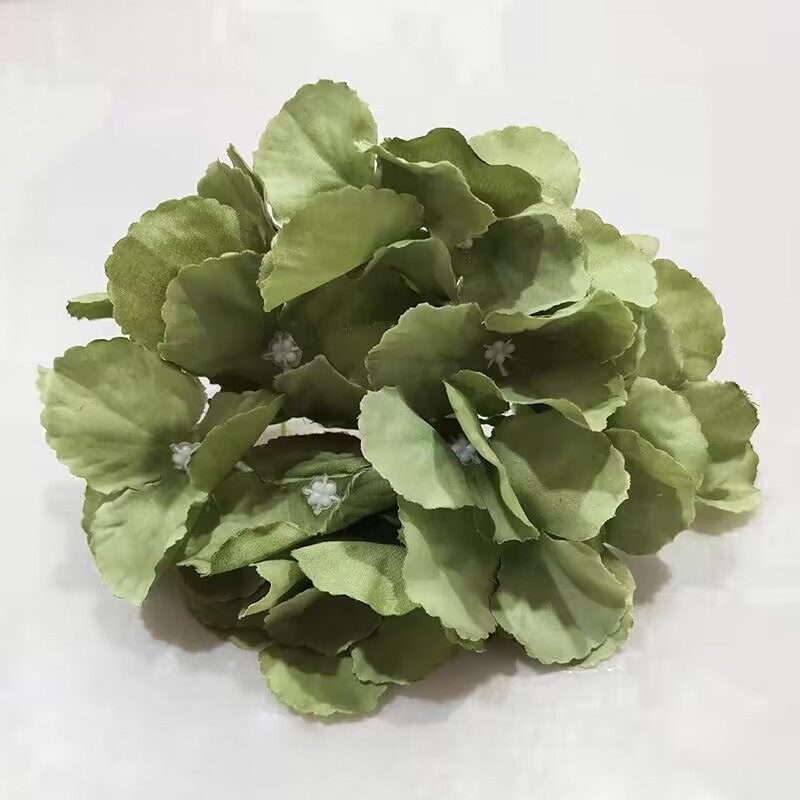 Un paquete de 50 hortensias verdes