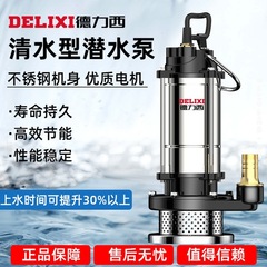 Delixi 清水型水中ポンプ DC ステンレス鋼 12v24v48v60v 家庭用農地灌漑ポンプ