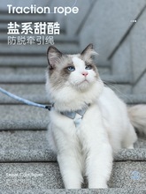 猫牵引绳猫咪夏季猫咪猫绳子宠物背带链子可调遛猫绳可爱