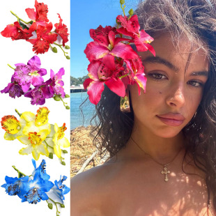 �羳���N̩���m���l�A�^������P�l����l������Ķȼ����Ղ�߅�A