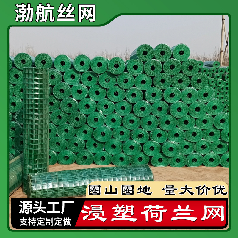 硬塑铁丝荷兰网浸塑6厘米孔大棚养殖用丝网护栏 圈地养殖鸡鸭网片