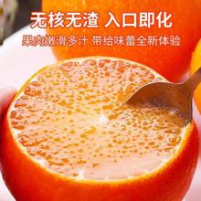 【寒冷地区保温箱+保温袋发货】正宗爱媛果冻橙38号新鲜水果橙子