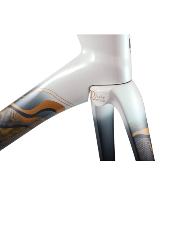 Suitable for Road Bikes 10Th Anniversary Frame Hider X Full Internal Disc Brake Windbreaker with Handlebar