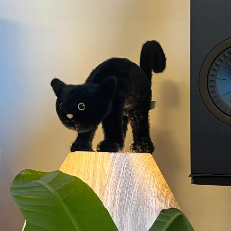 万圣节惊弓猫玩偶萌趣公仔毛绒玩偶礼物送人|undefined