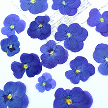 ������ɫ�������ɻ��������lֲ��˱����ɻ����ϕ������z�֙C��