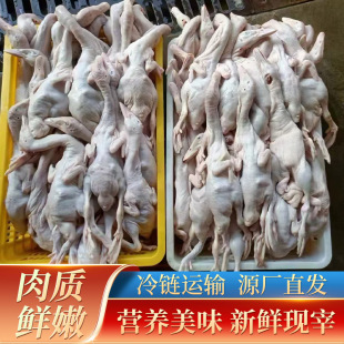 ���r�����r��ɢ�B�����ֻ��ʳƷ���rʳ�����r�����r����������