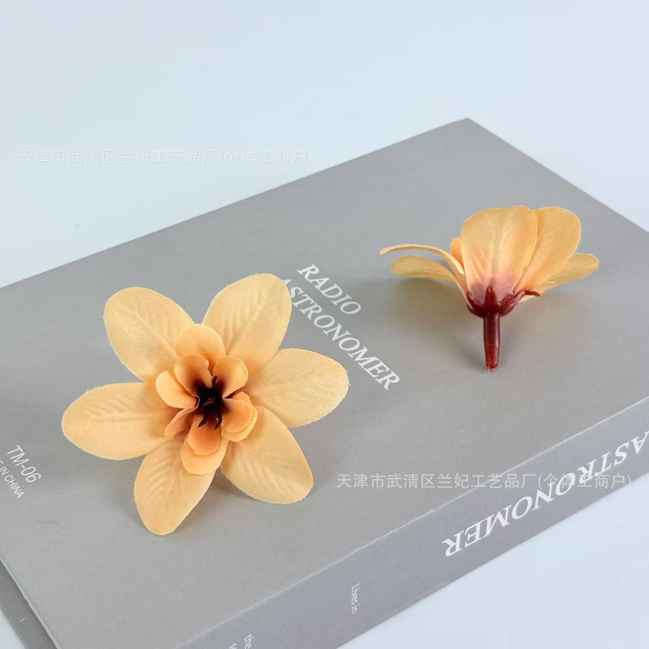 Orquídea de simulación cabeza de comida plato flor de corona de novia flor de pecho flor de muñeca hacer caja de regalo flor de ópera flor de pinza