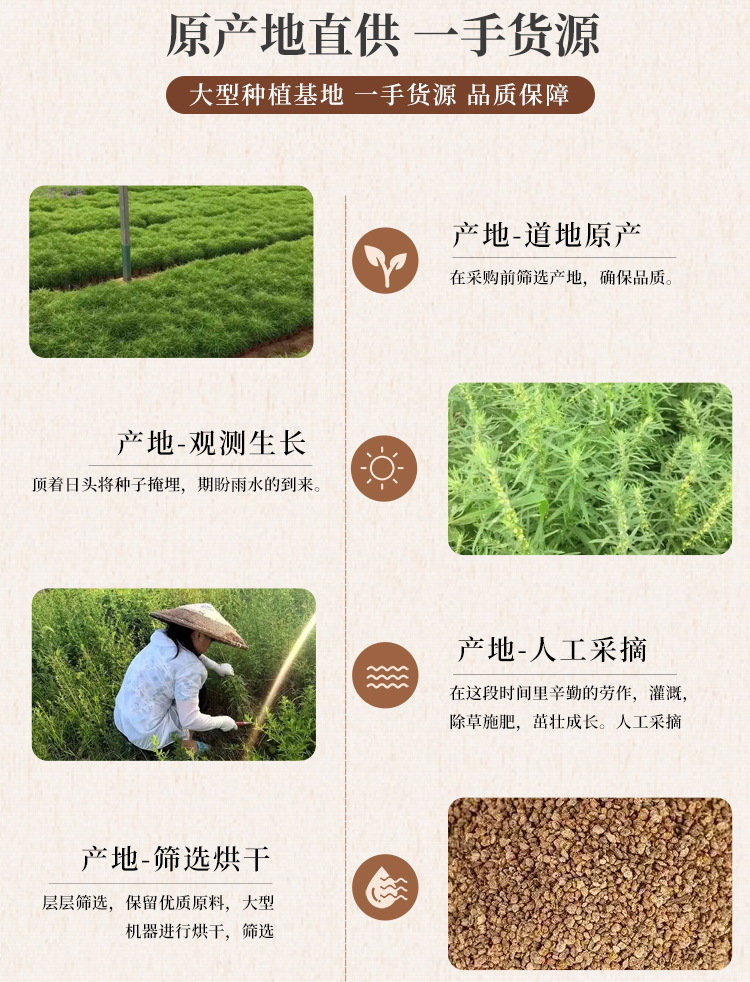 Dried Kochia Fruit Di Fu Zi 500g Whole Herb Form Traditional Chinese Herbal Ingredient specifications