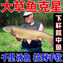 ˮڿӲ~c~D~~D䷽~ȫD~b