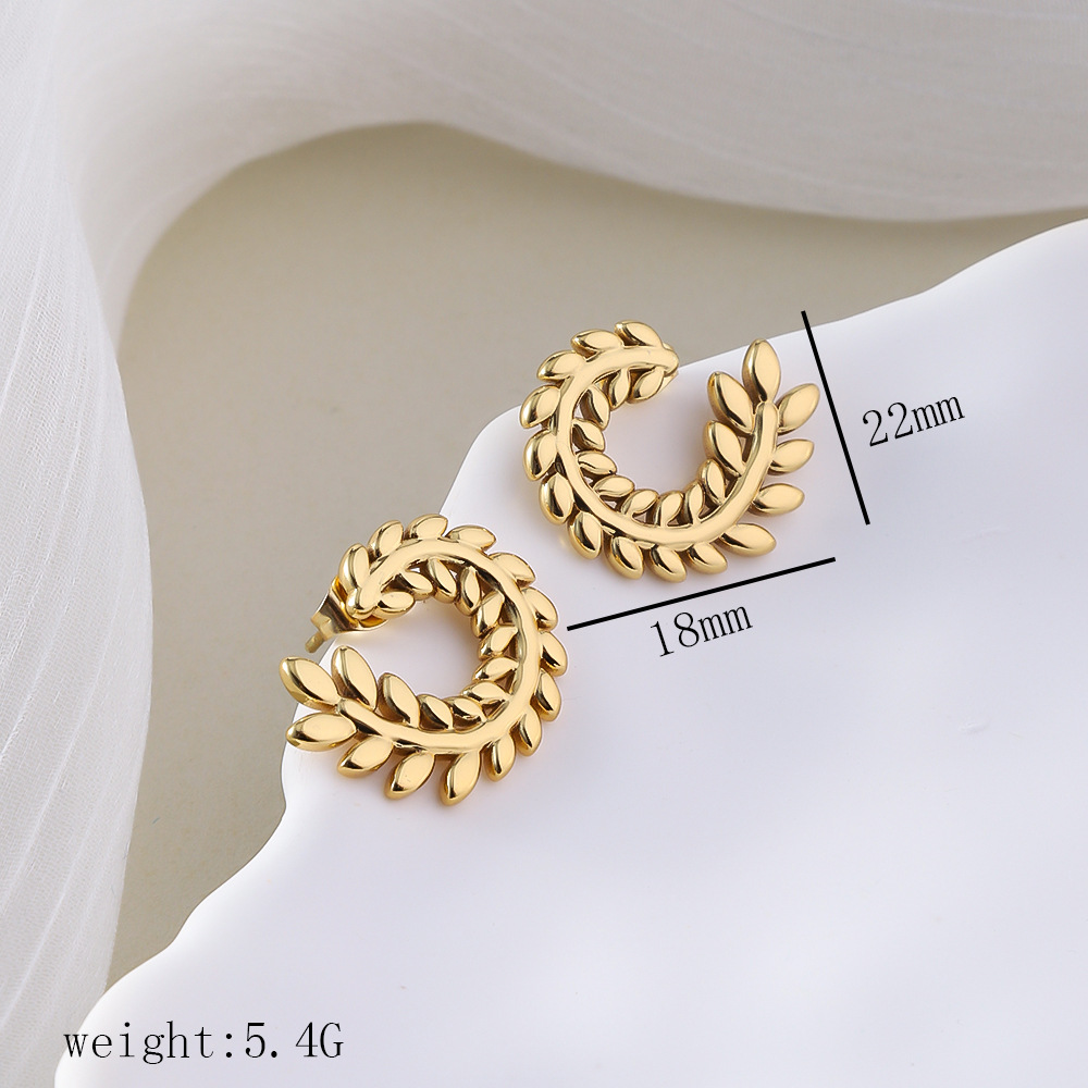 1 Pair Simple Style Commute Geometric Heart Shape Plating Titanium Steel Drop Earrings Earrings Ear Studs display picture 11