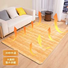 石墨烯加熱地墊家用客廳移動地暖墊快速升溫節能智能發熱墊