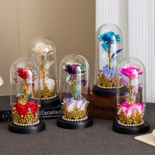 õ廨𲭻˹}QY[羳СYƷ