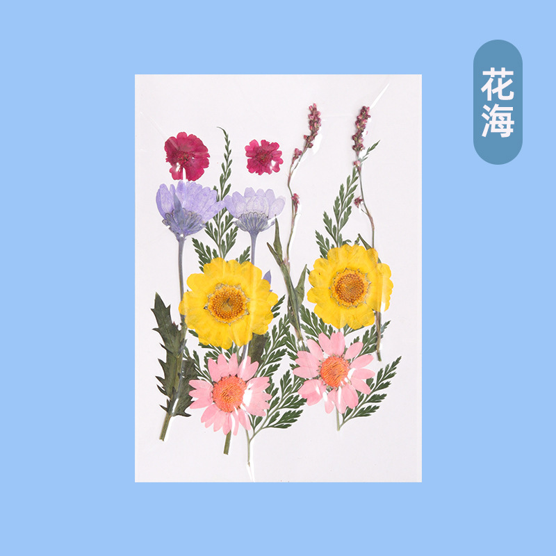 古代製紙セット夏の休暇活動子供の手作り材料パッケージ diy 花と草紙製紙フレーム紙パルプ|undefined