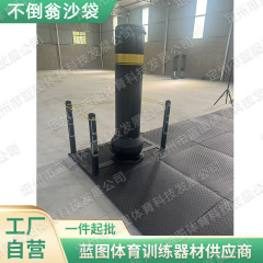 不倒翁沙袋180cm90kg格斗基本功训练器材新大纲不倒翁沙袋假人
