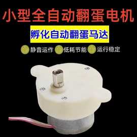 孵蛋机马达12-24枚孵蛋电机 全自动孵化器翻蛋马达减速电机