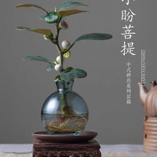 С���������Ԏ����҃ȾGֲ�k���ҿ͏d��ʽ�U������С�辰ˮ��ֲ��