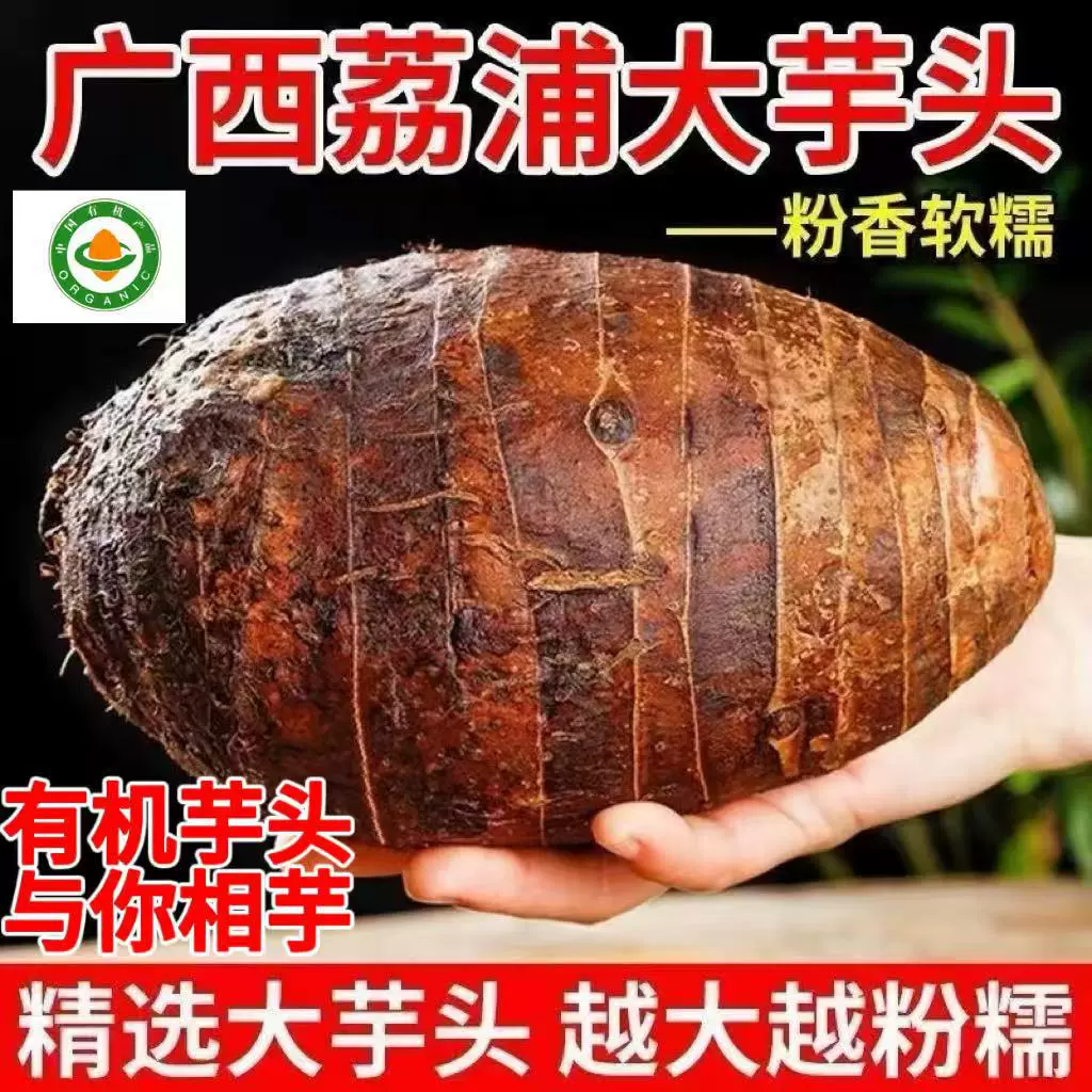 正宗广西荔浦芋头新鲜现挖有机认证品质好果香甜粉糯产地直发