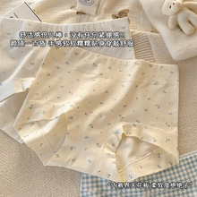 10A�־�Ůʿƽ�Ǽ��ރ�ѝŮӡ��С�黨��a��ѝ���L�����d��ѝŮ