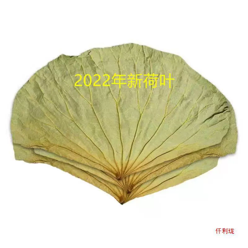 [Бесплатная доставка] 2022 свежий целый 500 г сушеного листа лотоса, риса из листьев лотоса, курицы-бродяги, курицы с клейким рисом, чая из листьев лотоса