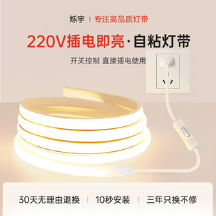 220V��led���lcob���҃ȵ�픿͏d�������_�P�Շ�����������