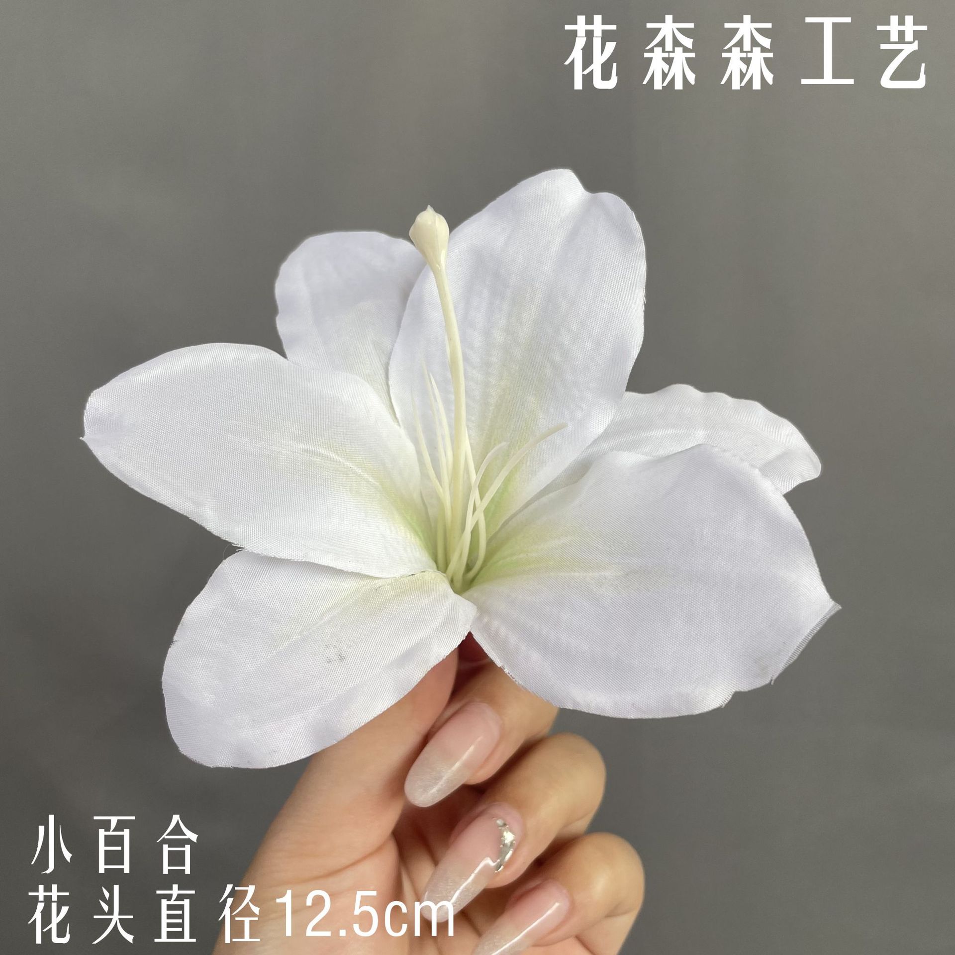 색상 번호 11
