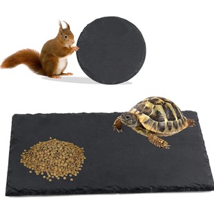 Reptile Tortoise Slate Tortoise Grinding Nail Shale Reptile Rest Terrace Aquarium Decoration Rock Landscaping