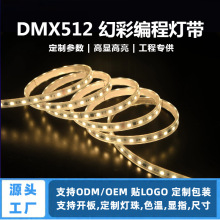 24v5050led软灯带IP67环保RGB硅胶霓虹灯DMX512灯条幻彩跑马灯条