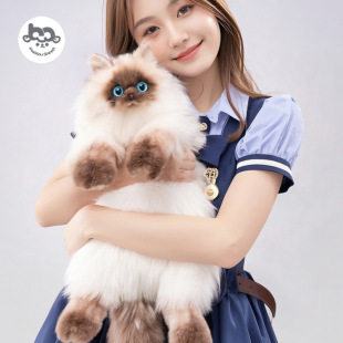 ���_؈�䱳�������p�������ż����ë�q������նY�����l