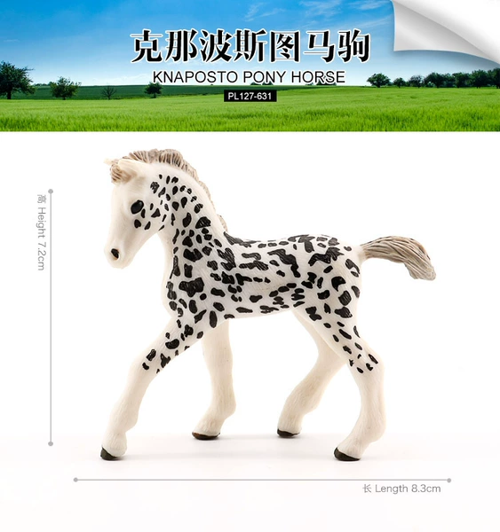 PL127-631 grams